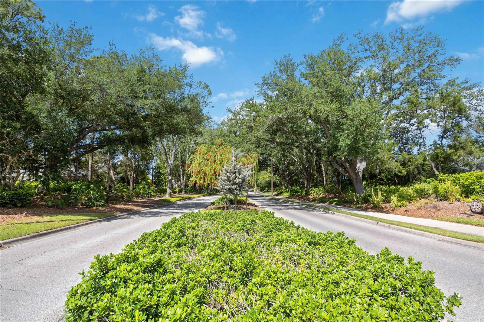 SUMMERFIELD VILLAGE SUBPHASE C - Residential