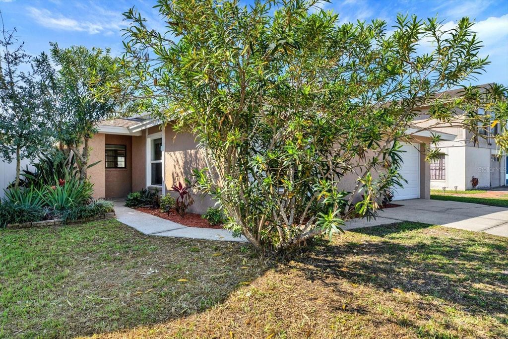 Photo of 10320 Fernbrook Lane, Tampa, FL 33624 (MLS # TB8484139)