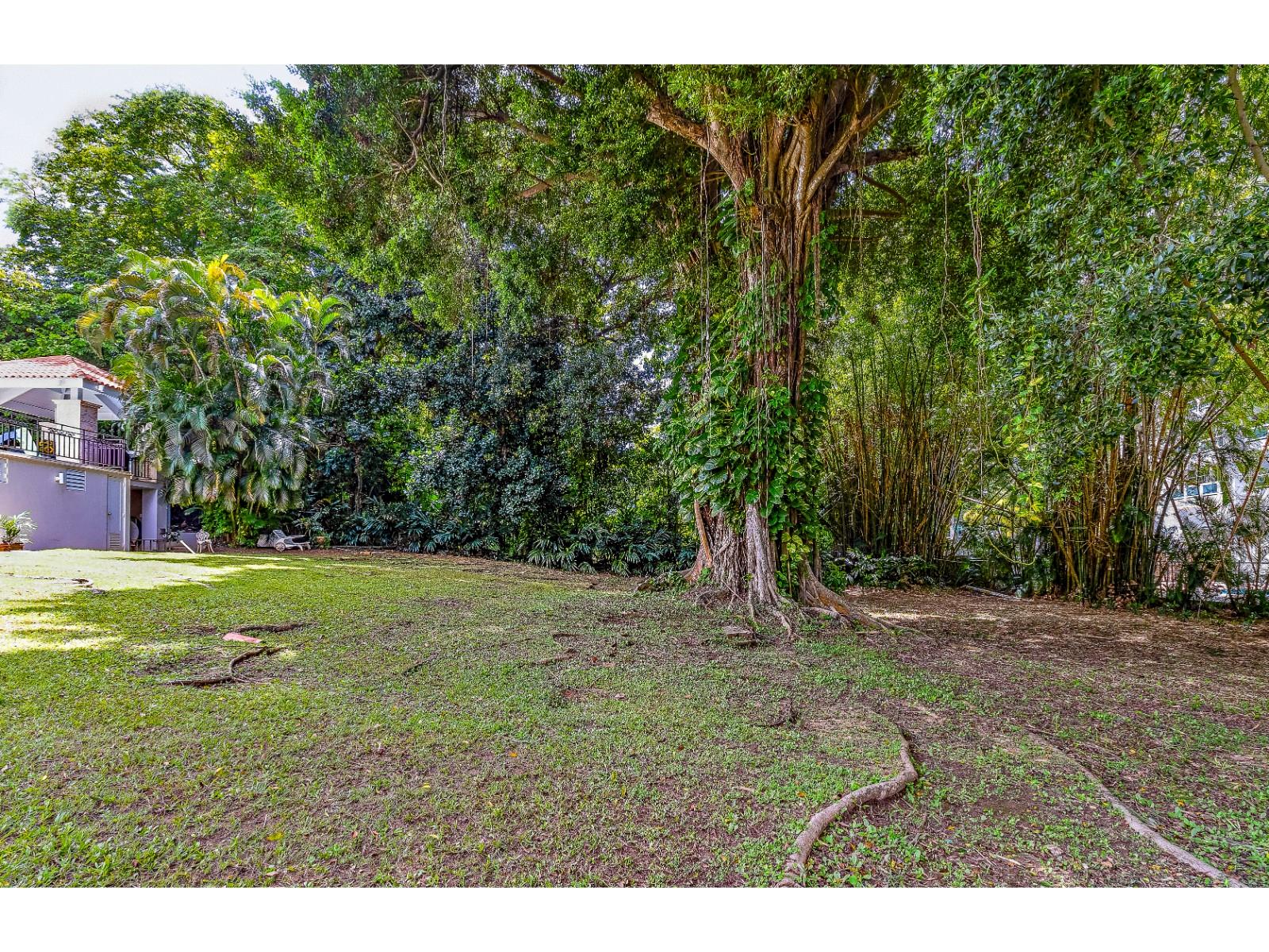 SAN PATRICIO - Residential