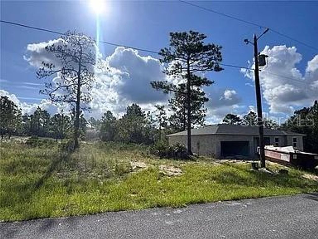 Photo of 6597 N Grayton Terrace, Dunnellon, FL 34433 (MLS # O6381412)