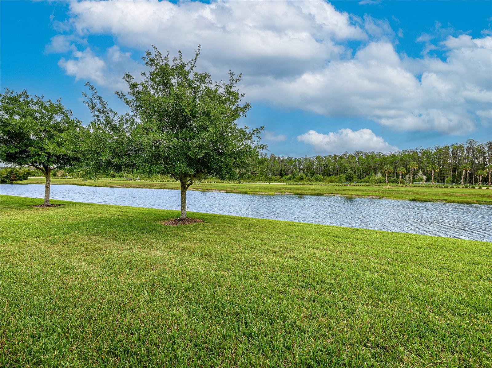 ESTANCIA PH 2A - Residential