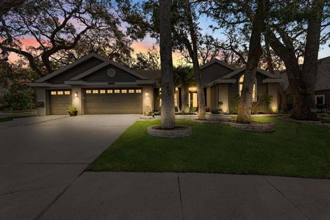 1708 COUNTRY TRAILS DRIVE SAFETY HARBOR FL 34695