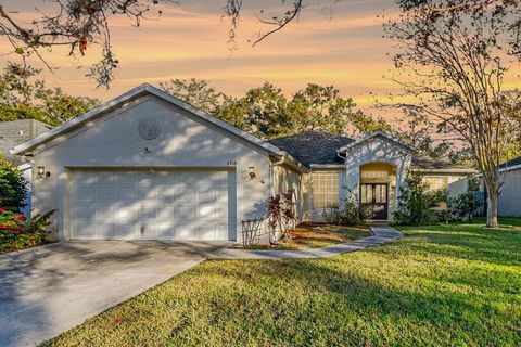 A home in RIVERVIEW