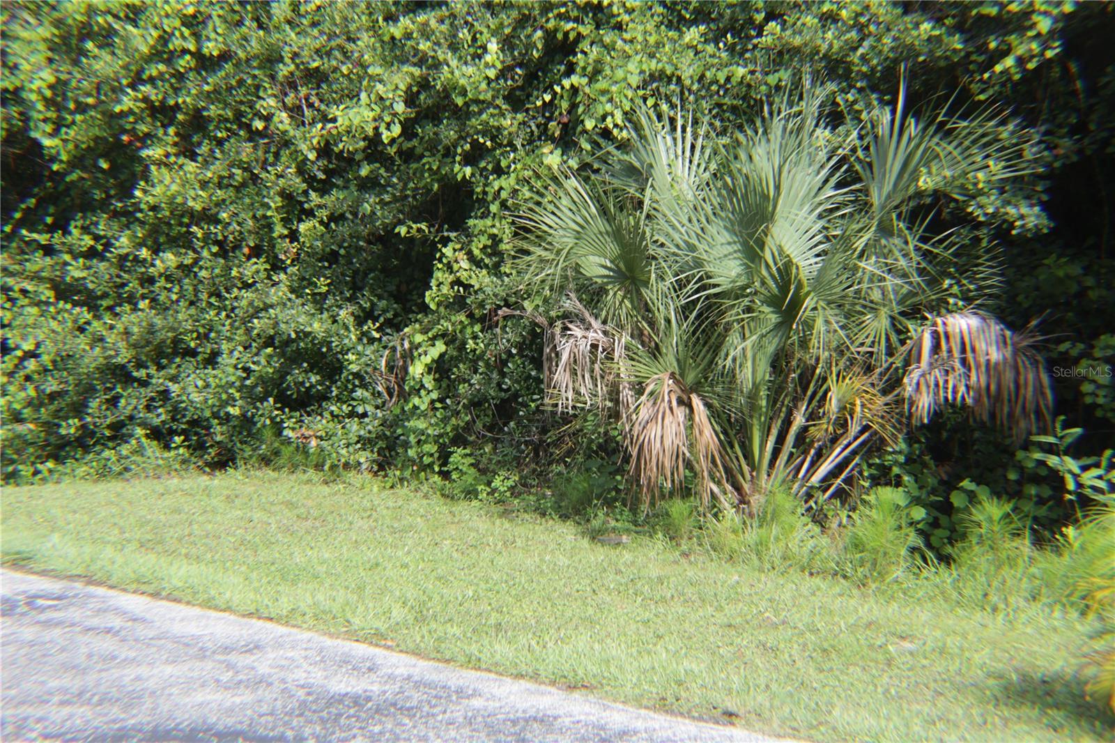 SOUTH SHORE OAKS REP - Land