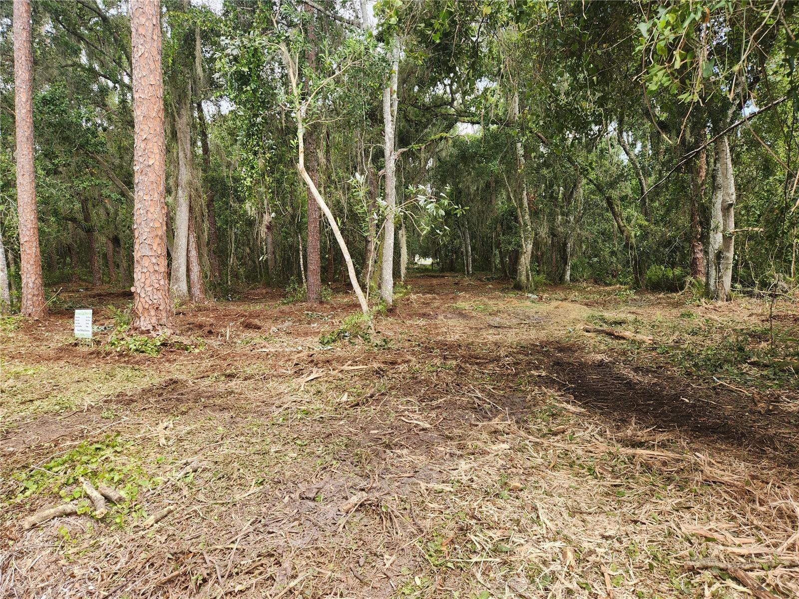 SOUTH SHORE OAKS REP - Land
