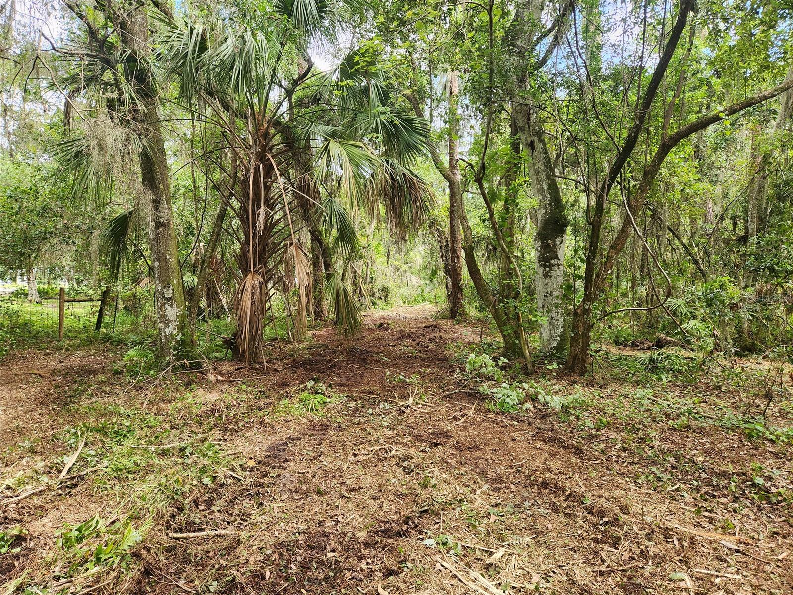 SOUTH SHORE OAKS REP - Land