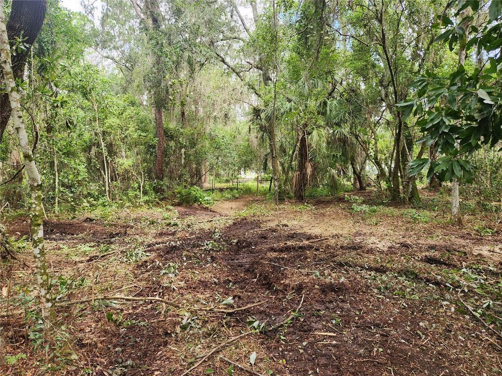 Photo of 11148 Shore Drive, Lake Wales, FL 33898 (MLS # P4922230)