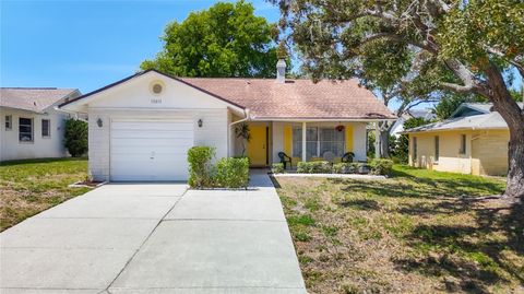 Photo of 10819 Los Santos Drive, Port Richey, FL 34668 (MLS # TB8371597)