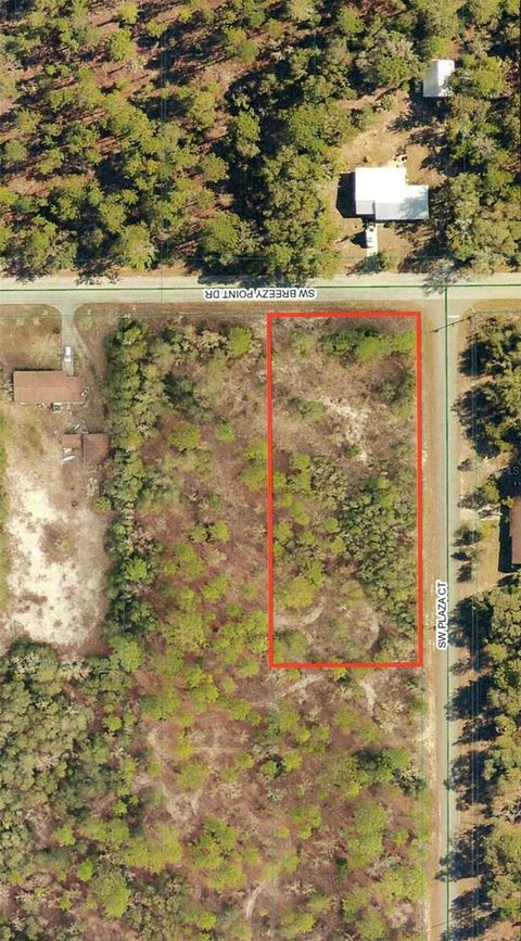 00 SW BREEZY POINT DRIVE DUNNELLON FL 34431