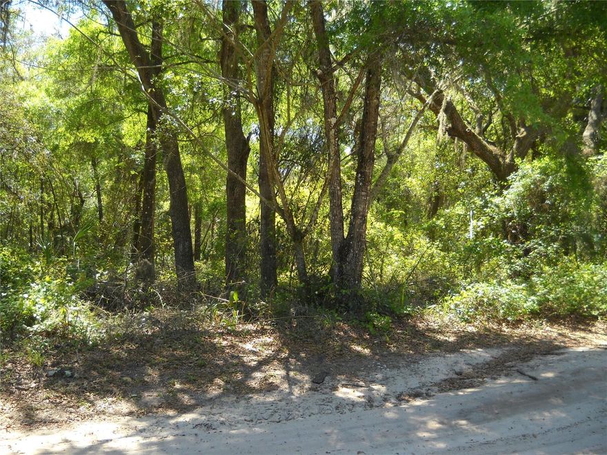 .51 Acre. No HOA. Nice trees, Parcel goes from NE 162 Place to NE 162 Street.  Can be subdivided. Non flood.  Subdivision is in the country, between Ocala and Gainesville and close to the Ocala National Forest, Orange Lake and Lake Lochloosa.  Shopping is 20 minutes away, smaller stores close by.   This is a hard to find 1/2 acre for a really low price.  Owner older and down sizing.
