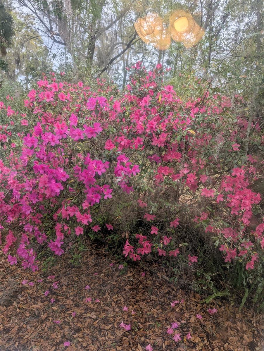 OAK RUN - Residential