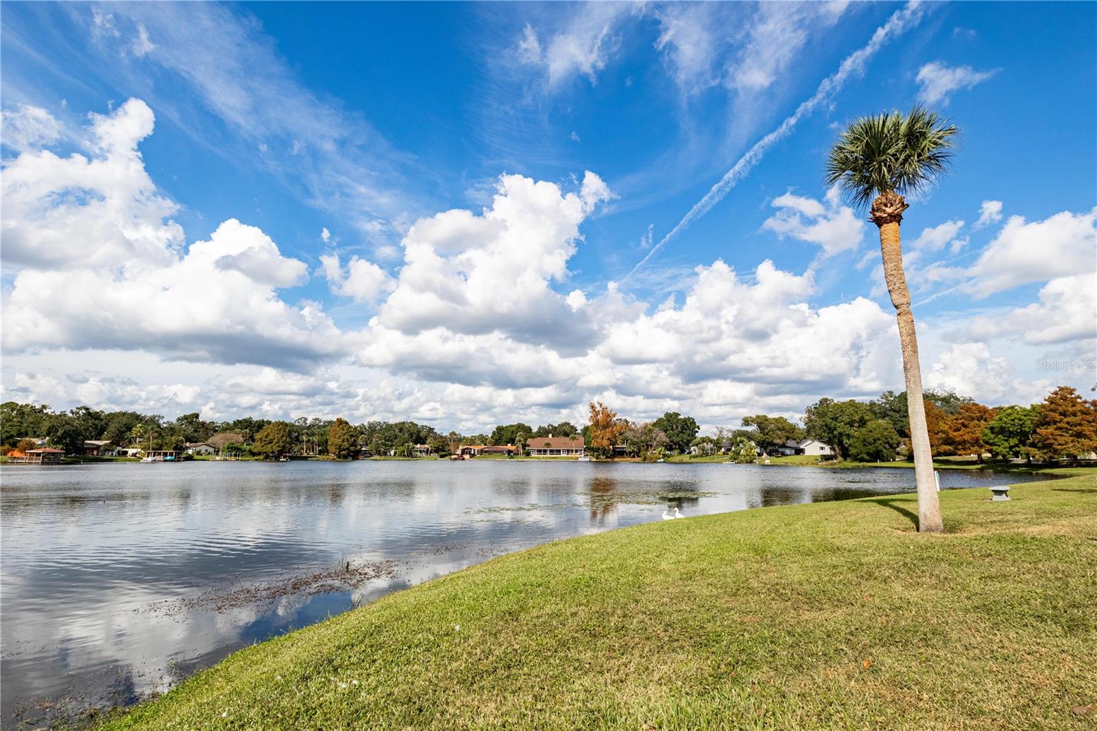 DESTINY SPGS CONDO - Residential