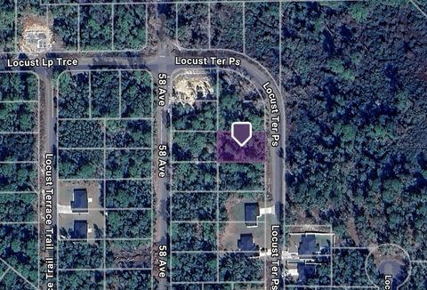 LOT 12 LOCUST TERRACE PS OCALA FL 34472