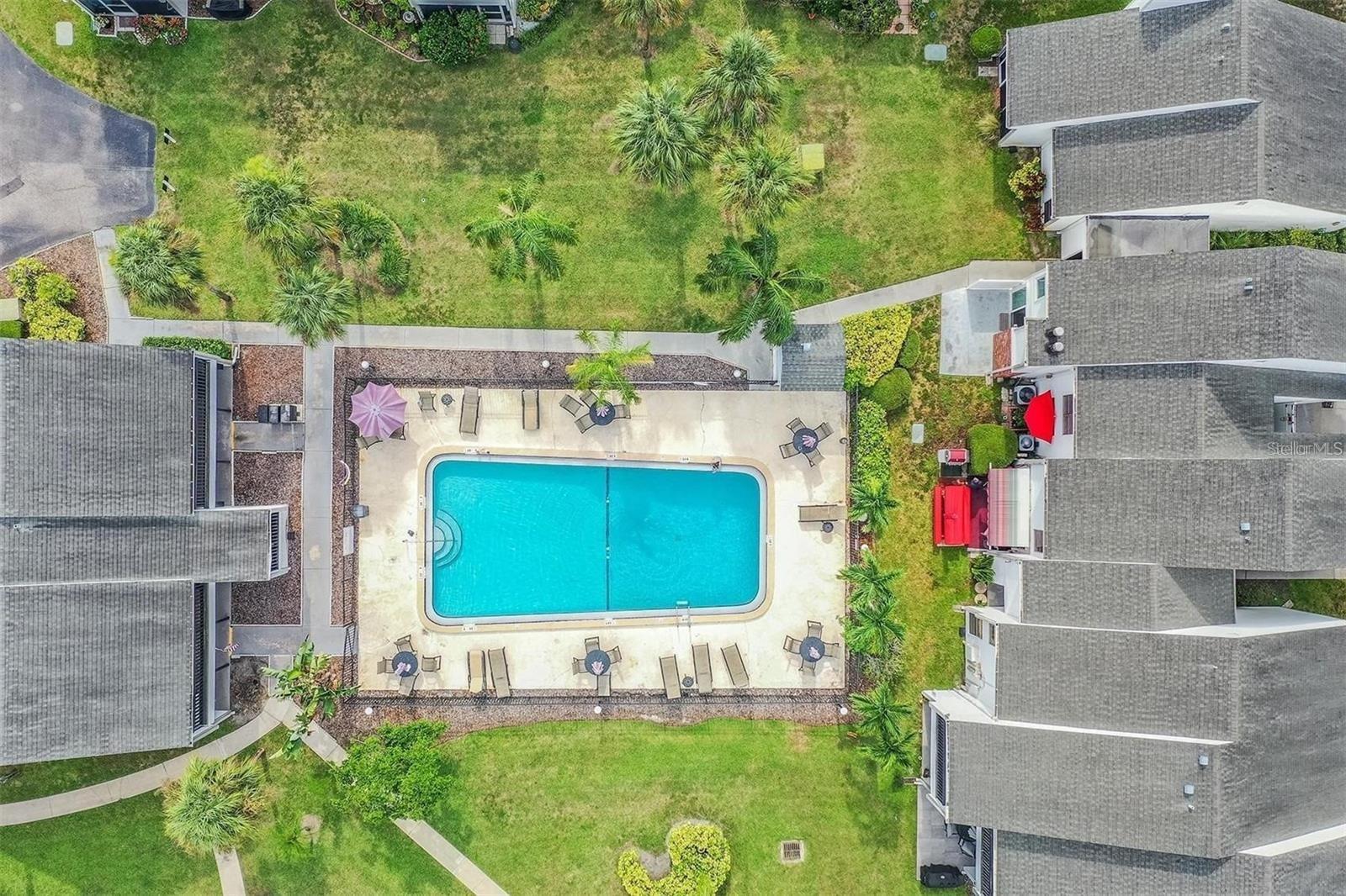 PALMS OF TARPON SPGS THE CONDO - Residential