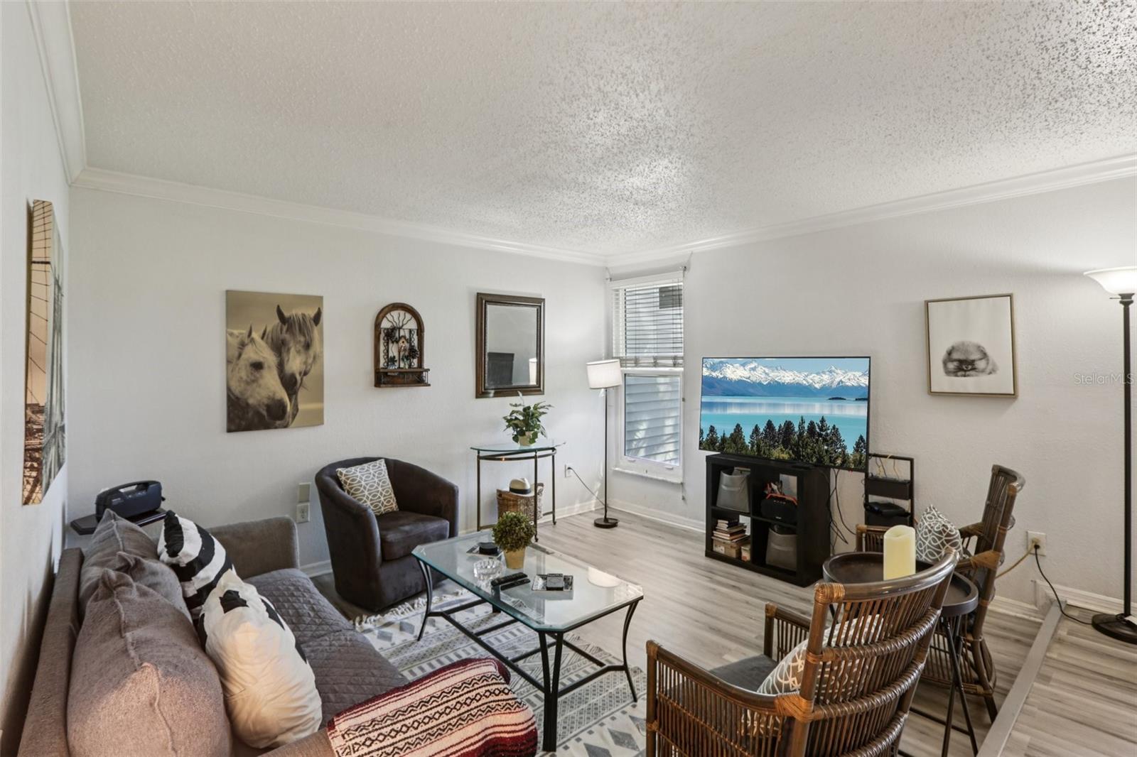 PALMS OF TARPON SPGS THE CONDO - Residential