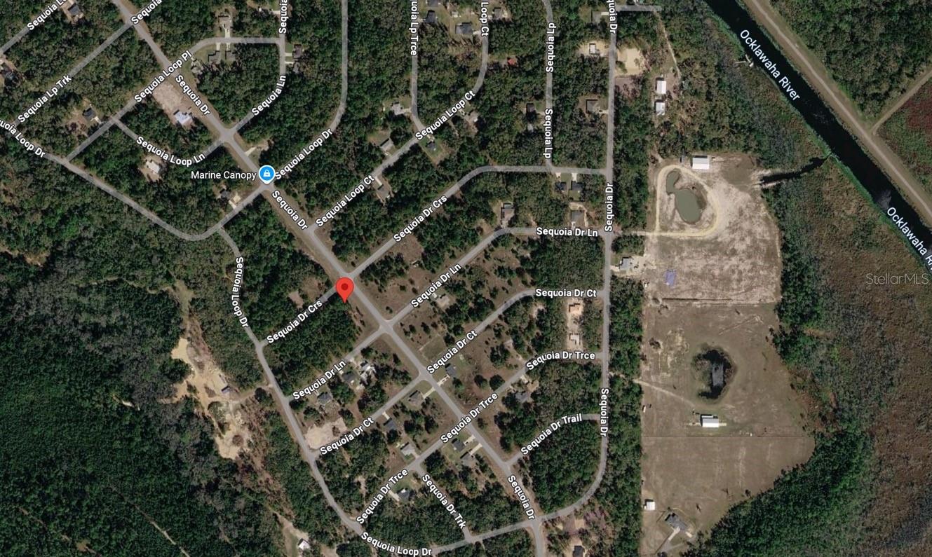 SILVER SPRINGS SHORES - Land