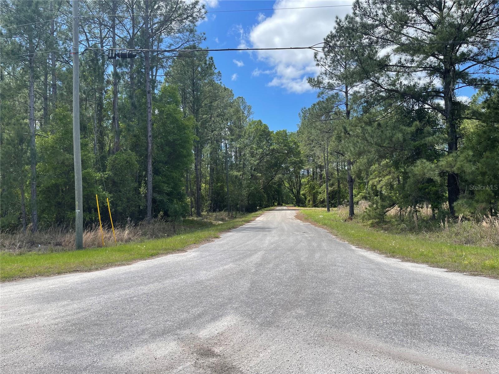 SILVER SPRINGS SHORES - Land