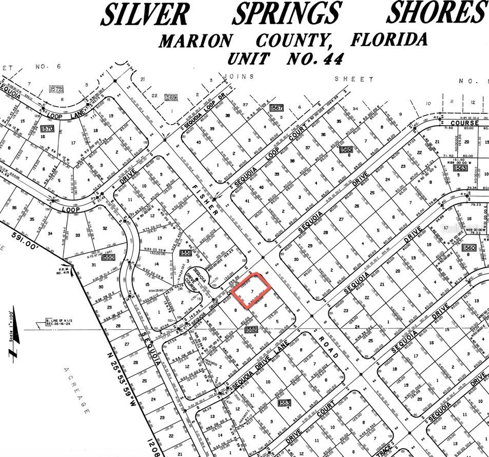 SILVER SPRINGS SHORES - Land