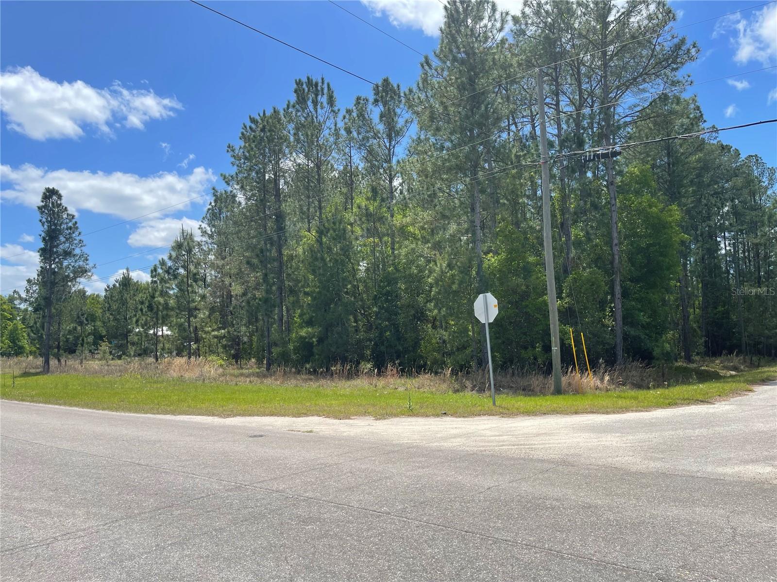 SILVER SPRINGS SHORES - Land