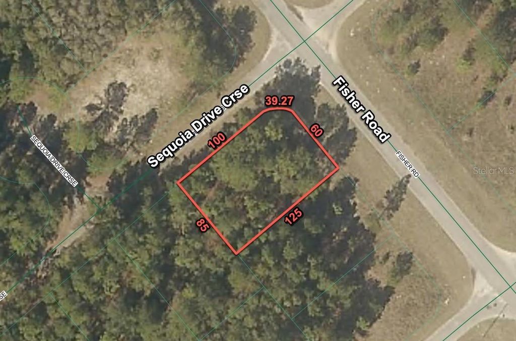 Photo of 200 Fisher Road, Ocklawaha, FL 32179 (MLS # O6397719)