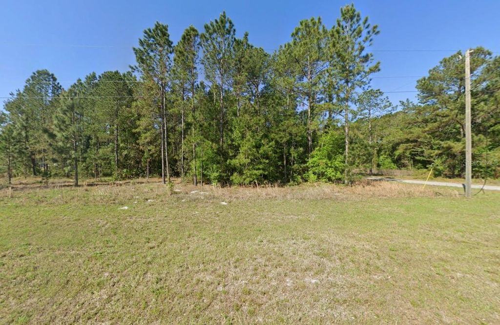 Photo of 200 Fisher Road, Ocklawaha, FL 32179 (MLS # O6397719)