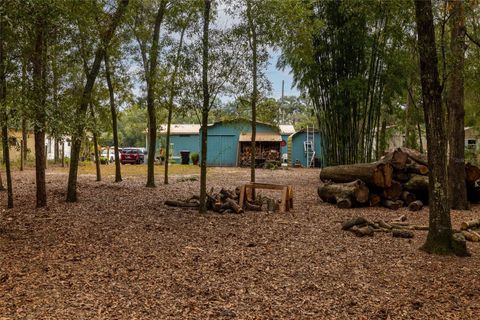 Tiny photo for 591 Marshburn Drive, Bronson, FL 32621 (MLS # OM715647)