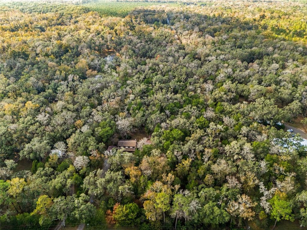 Photo of 12047 Timber Lane, Brooksville, FL 34601 (MLS # W7881662)