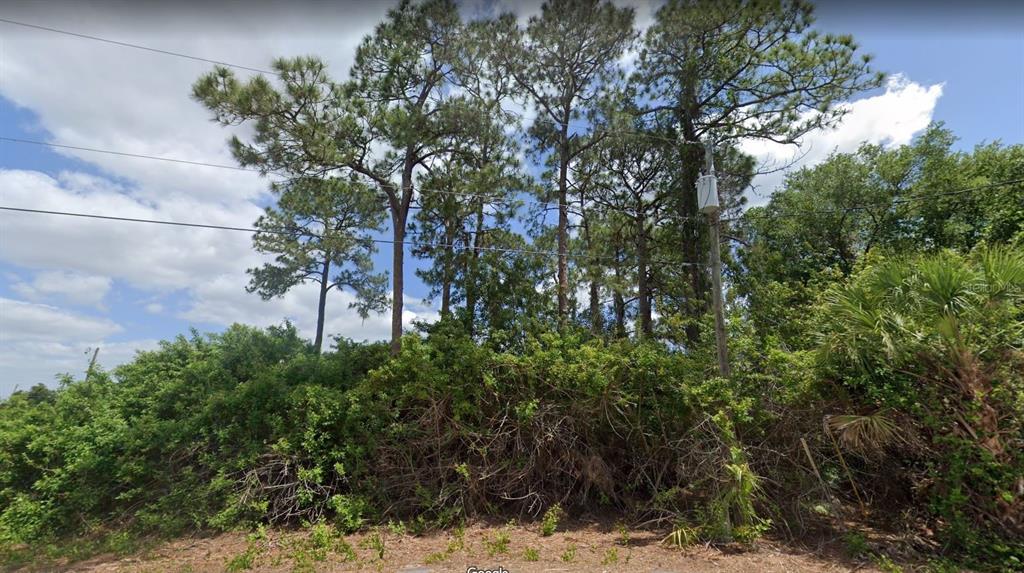 Build your dream home in beautiful North Port, FL in the sought-after area of Sarasota County! Make this great location your place to call your very own and bask in the sunny days ahead. Unique shaped lot with great potential. Buyer to verify any utility easements, building restrictions and additional specifications, if any, with the county or city.