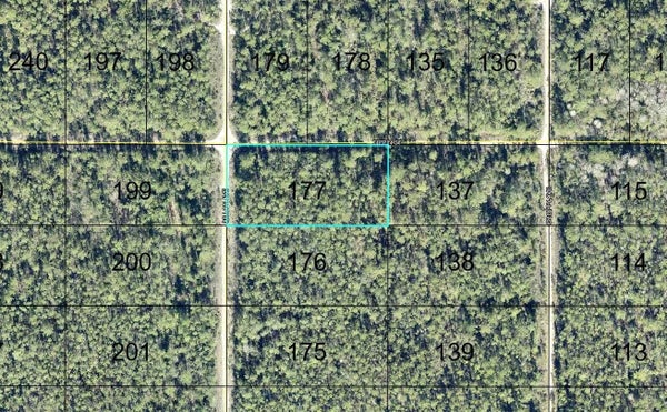 177 DILLON AVENUE, HASTINGS, FL 32145 - Image 13615a6be411cec8b70b1a7cbc67bc3f/795712540