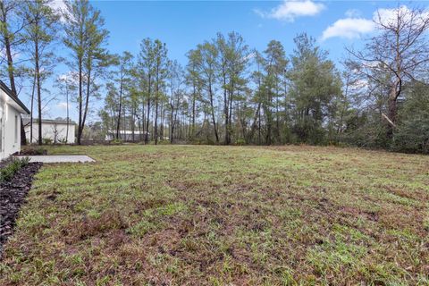 Tiny photo for 41810 Mango Street, Eustis, FL 32736 (MLS # O6391313)