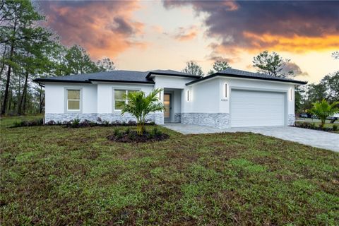 Tiny photo for 41810 Mango Street, Eustis, FL 32736 (MLS # O6391313)