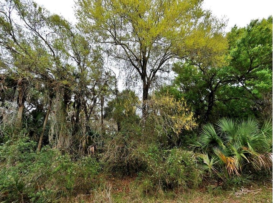 10,000 Sq. Ft. lot available Close to I-75