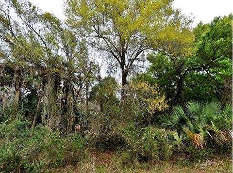 BACKERT RD. NORTH PORT FL 34291