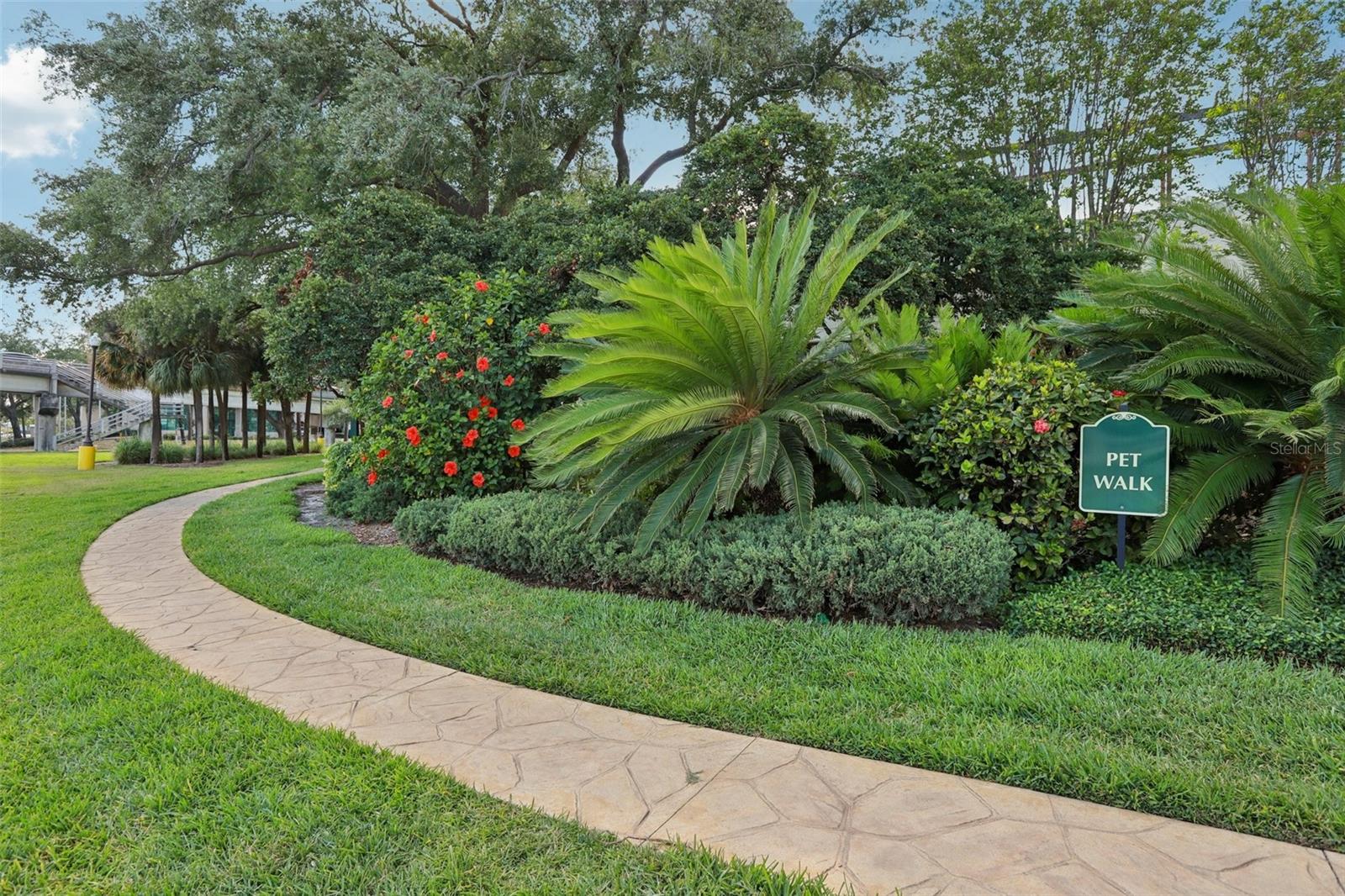 345 BAYSHORE A CONDO - Residential