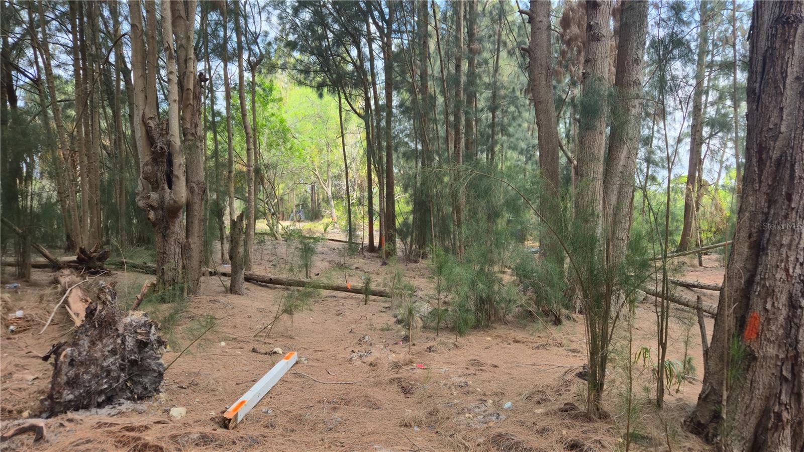 PORT RICHEY LAND CO SUB - Land