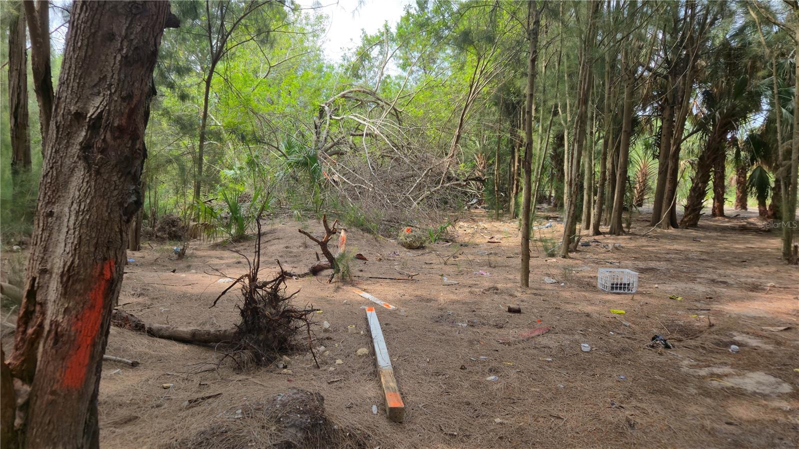 PORT RICHEY LAND CO SUB - Land