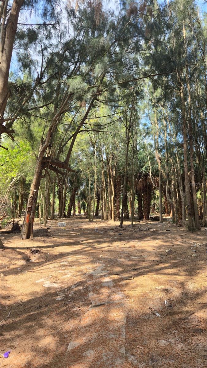 PORT RICHEY LAND CO SUB - Land