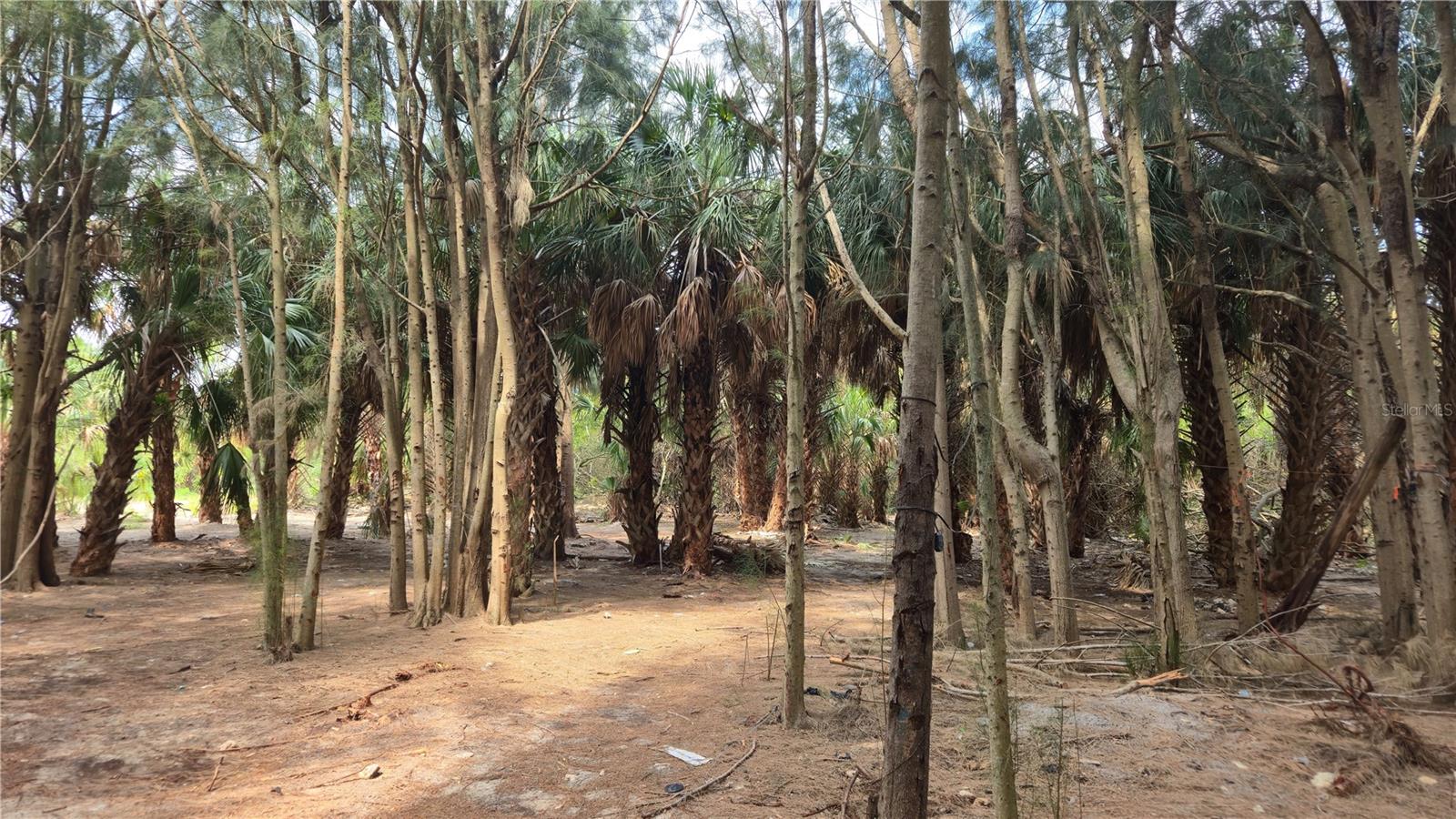 PORT RICHEY LAND CO SUB - Land