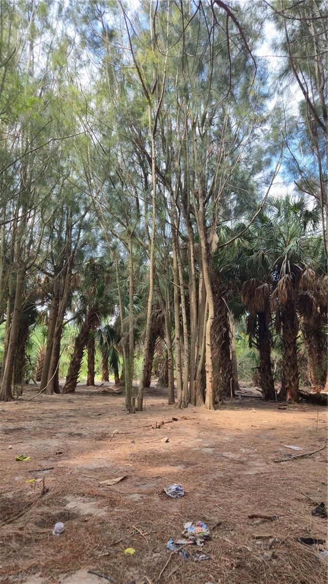 PORT RICHEY LAND CO SUB - Land