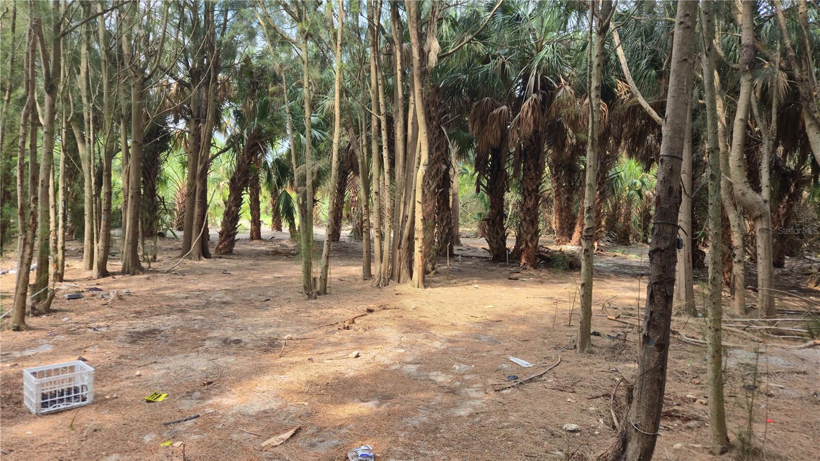 PORT RICHEY LAND CO SUB - Land