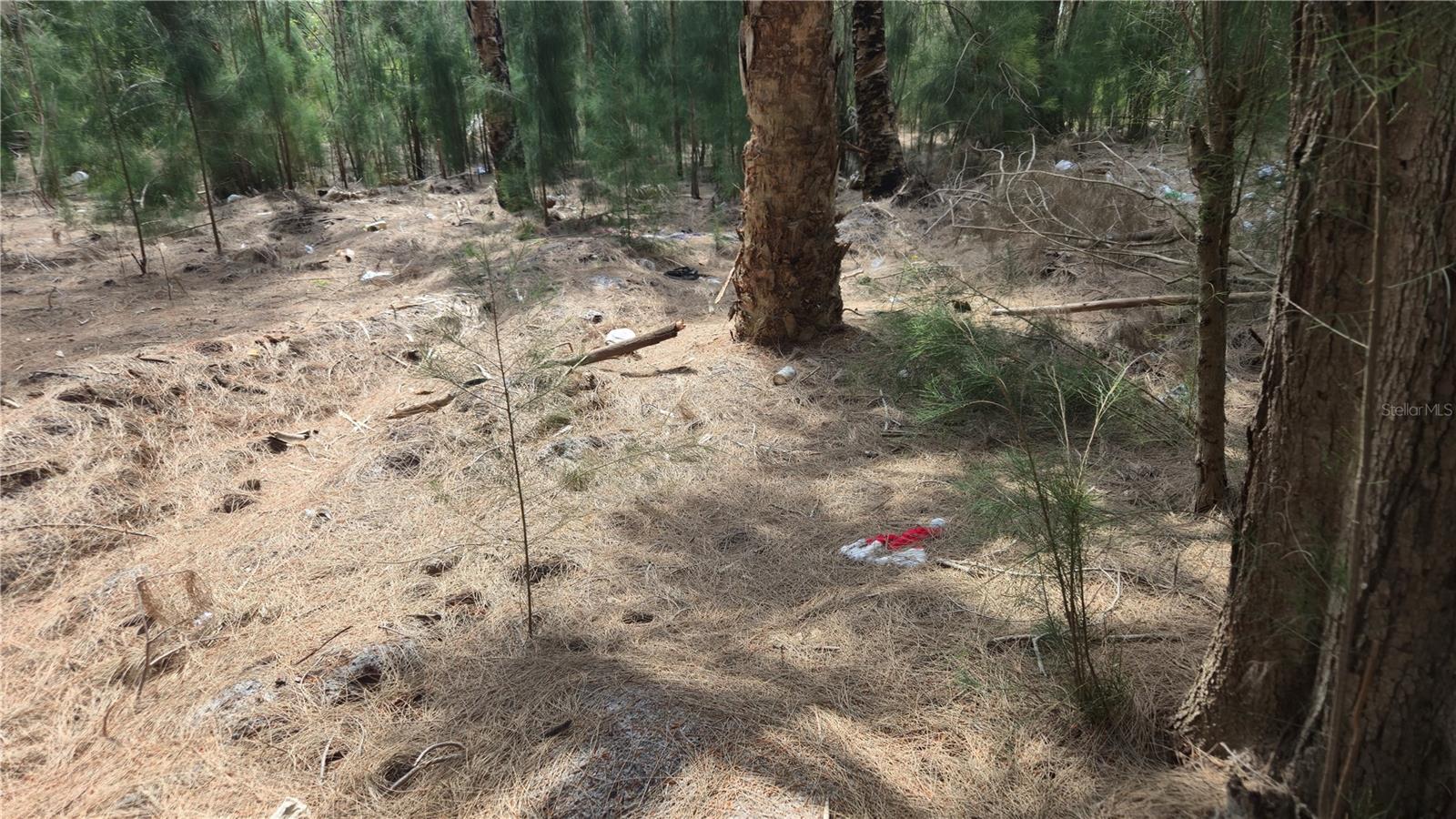 PORT RICHEY LAND CO SUB - Land