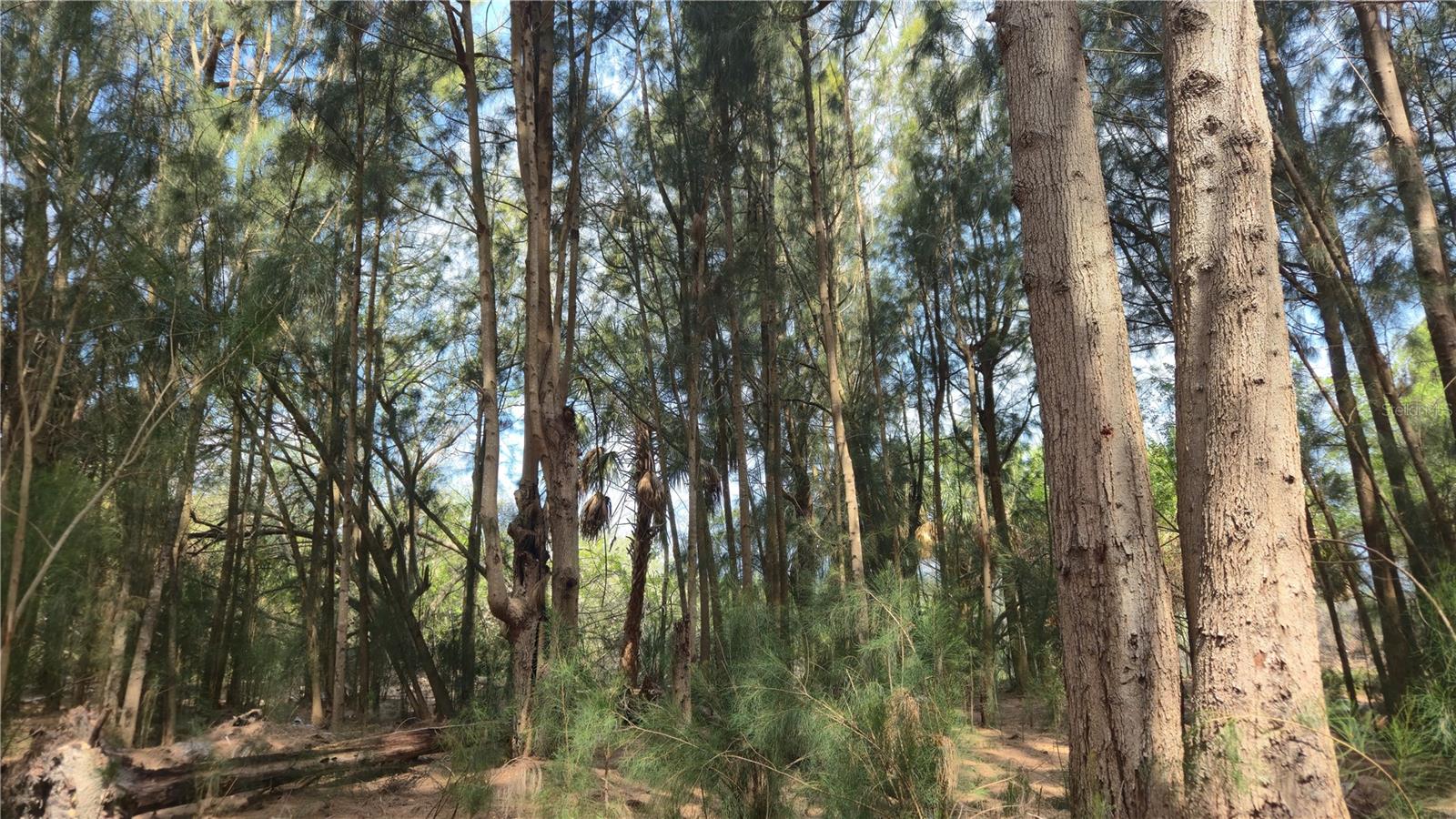 PORT RICHEY LAND CO SUB - Land