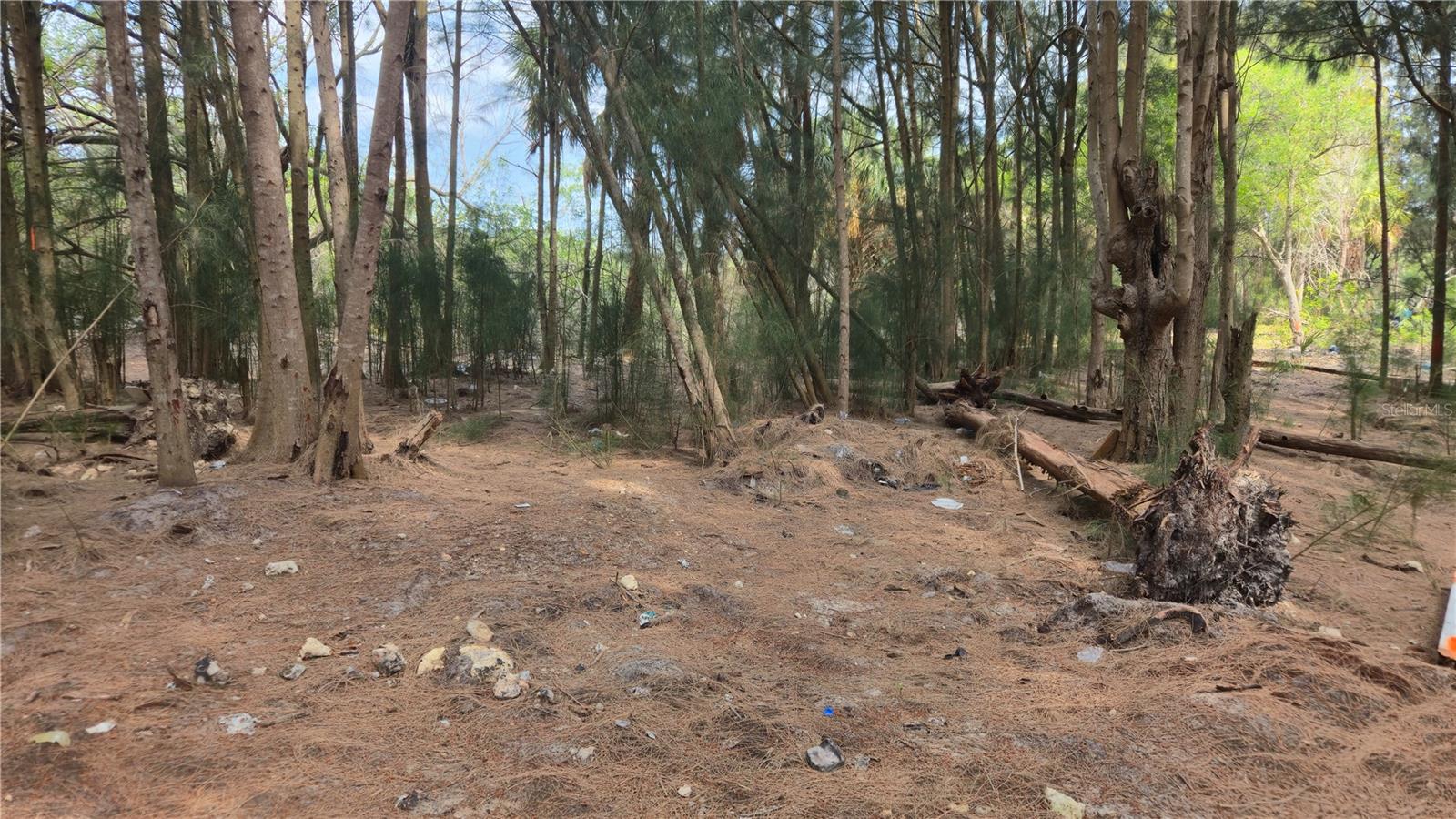 PORT RICHEY LAND CO SUB - Land