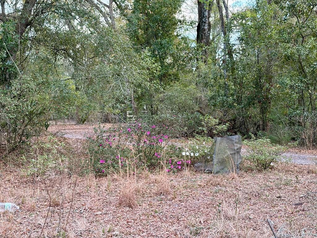 NOT IN SUBDIVISION - Residential