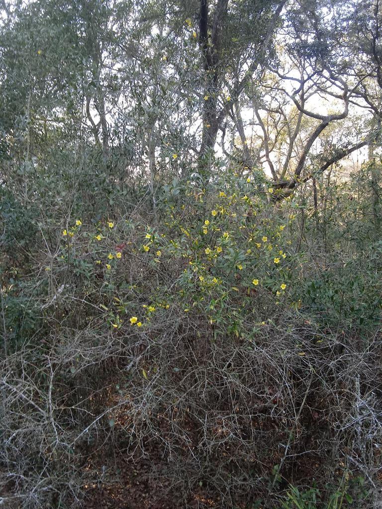 NOT IN SUBDIVISION - Residential