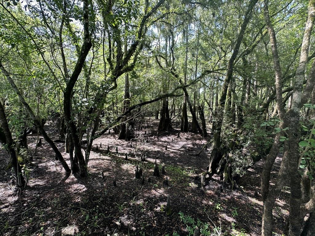 NOT IN SUBDIVISION - Residential