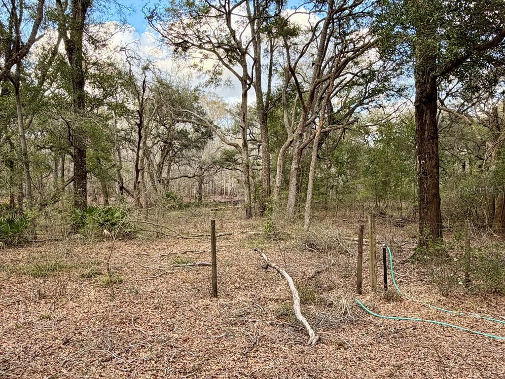 NOT IN SUBDIVISION - Residential