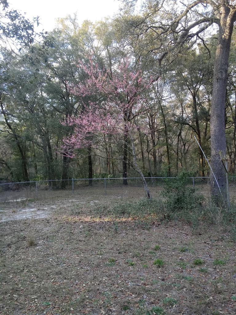 NOT IN SUBDIVISION - Residential