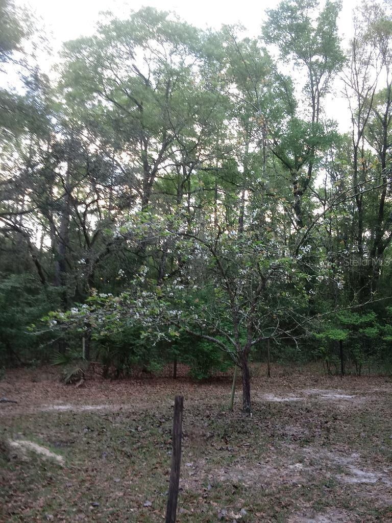 NOT IN SUBDIVISION - Residential