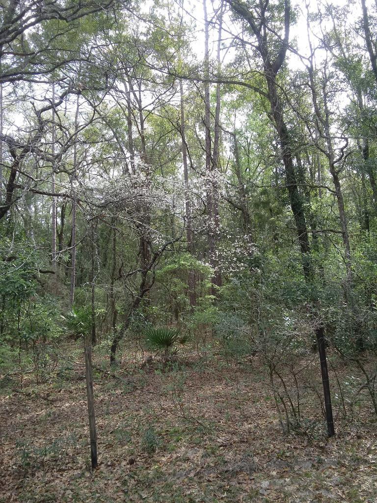 NOT IN SUBDIVISION - Residential